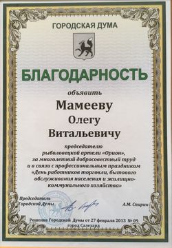 2013: Городская Дума